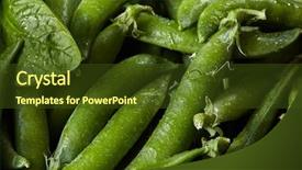  Presentation with green leaf - Theme featuring pick up sticks - green close-up natural vegetable background background and a tawny brown colored foreground