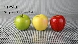  Presentation with red gold black - Audience pleasing presentation theme consisting of picked apples of red green backdrop and a light gray colored foreground