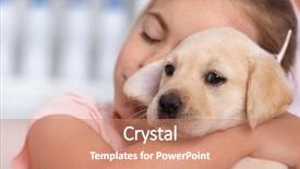  Presentation with animal shelter - Theme featuring little gir getting emotional hugging background and a coral colored foreground