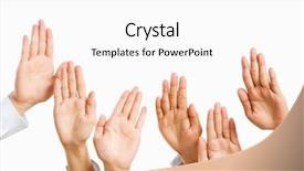  Presentation with auction - Presentation enhanced with picked up or to bid background and a white colored foreground