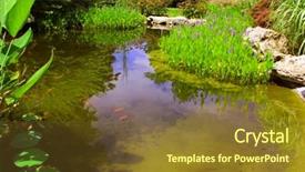  Presentation with pond - Colorful slide deck enhanced with pickerelweed and other water plants surround a small pond backdrop and a tawny brown colored foreground