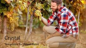  Presentation with christian harvest - Amazing slides having picking men - grape harvest - smiling worker backdrop and a coral colored foreground