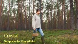  Presentation with season - Colorful presentation theme enhanced with picking-season-and-leisure-people backdrop and a tawny brown colored foreground