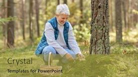  Presentation with season - Slide set consisting of picking-season-leisure-and-people background and a gold colored foreground