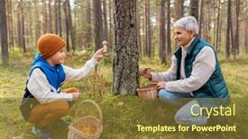  Presentation with season - Cool new slide deck with picking-season-leisure-and-people backdrop and a tawny brown colored foreground