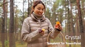  Presentation with season - Beautiful slide deck featuring picking-season-leisure-and-people backdrop and a tawny brown colored foreground