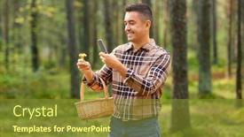  Presentation with smartphone app - Colorful PPT theme enhanced with picking-season-technology-and-leisure backdrop and a tawny brown colored foreground