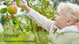  Presentation with autumn - Audience pleasing PPT theme consisting of picking up apples in autumn backdrop and a yellow colored foreground