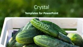  Presentation with cucumbers - Slides enhanced with pickled-cucumbers-for-winter-organic background and a tawny brown colored foreground