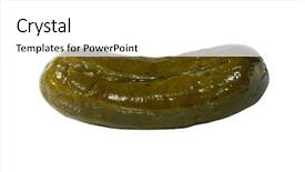  Presentation with pickle - Amazing PPT layouts having pickled foods - large dill pickle close-up isolated backdrop and a white colored foreground