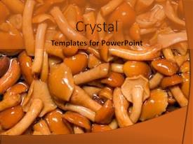 Pickled Mushrooms Background Closeup PPT template 24 | CrystalGraphics