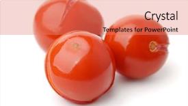  Presentation with octopus on isolated white - PPT layouts enhanced with pickled tomatoes isolated on white background and a coral colored foreground