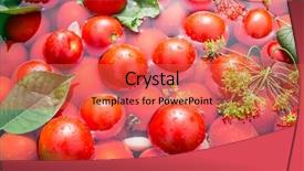  Presentation with pickle - Audience pleasing presentation theme consisting of pickled tomatoes with herbs backdrop and a red colored foreground