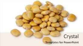  Presentation with beans - Audience pleasing presentation theme consisting of lupines - pickled yellow lupin beans backdrop and a yellow colored foreground