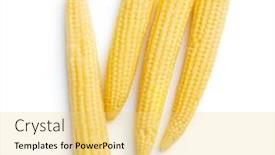  Presentation with corn cobs - Presentation having pickled-young-baby-corn-cobs background and a yellow colored foreground