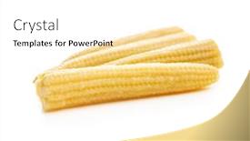  Presentation with corn cobs - Amazing PPT theme having pickled-young-baby-corn-cobs backdrop and a white colored foreground