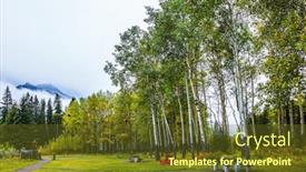  Presentation with eco - Audience pleasing presentation theme consisting of picnic-place-wooden-table backdrop and a tawny brown colored foreground