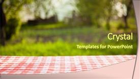  Presentation with picnic table and food - Colorful presentation theme enhanced with picnic table in the garden backdrop and a  colored foreground
