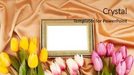  Presentation with satin - Colorful theme enhanced with picture frames and tulips flowers on satin backdrop and a yellow colored foreground