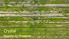  Presentation with stripe - Colorful theme enhanced with picture made of old green backdrop and a tawny brown colored foreground