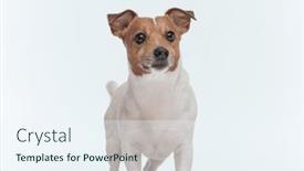  Presentation with russell - 