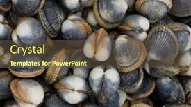  Presentation with clams - Beautiful presentation design featuring picture-of-closed-clams-ideal backdrop and a tawny brown colored foreground
