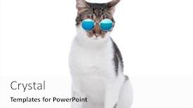  Presentation with cool - Presentation theme having picture-of-cool-fashion-metis and a white colored foreground