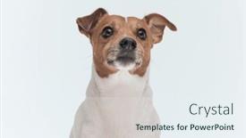  Presentation with russell - 