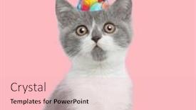  Presentation with cute birthday - Presentation design with picture-of-cute-metis-cat background and a lemonade colored foreground