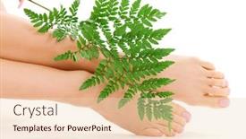  Presentation with fern - Beautiful PPT theme featuring picture of female feet with green fern leaf over white backdrop and a lemonade colored foreground