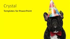  Presentation with sweet - Slide deck featuring picture-of-sweet-french-bulldog and a white colored foreground