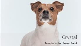  Presentation with russell - 