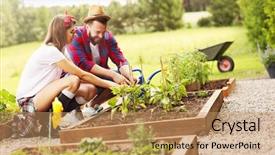  Presentation with organic - PPT layouts consisting of picture of young couple planting background and a coral colored foreground