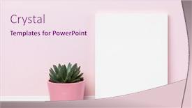  Presentation with pot succulent - Presentation theme having picture-print-on-canvas-background background and a sky blue colored foreground