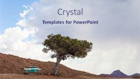  Presentation with savanna - Colorful presentation theme enhanced with picturesque-acacia-tree-and-bench backdrop and a lemonade colored foreground