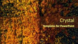  Presentation with woods - Slide deck having picturesque-aerial-view-of-overhead background and a tawny brown colored foreground