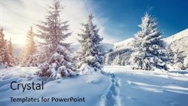  Presentation with happy new year - Slides with picturesque and gorgeous wintry scene background and a light blue colored foreground