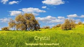  Presentation with israel - PPT theme having picturesque-and-green-forest background and a tawny brown colored foreground