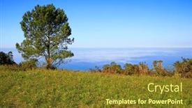  Presentation with green life - Presentation theme having picturesque-and-well-groomed-green background and a tawny brown colored foreground