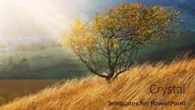  Presentation with yellow orange - Slides having picturesque-autumn-mountains-with-yellow background and a gold colored foreground