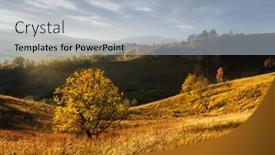  Presentation with yellow orange - PPT layouts with picturesque-autumn-mountains-with-yellow background and a light gray colored foreground