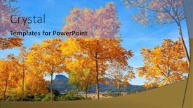  Presentation with country roses - Presentation theme consisting of picturesque-basque-country-impressive-alley background and a light blue colored foreground