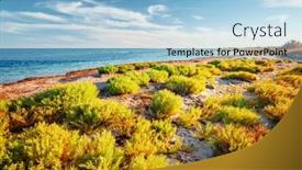  Presentation with black sea - Presentation enhanced with picturesque-beach-with-sand background and a light blue colored foreground