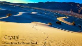  Presentation with footprints sand - Slides having picturesque-chains-of-footprints background and a yellow colored foreground