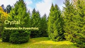  Presentation with cabin in the forest - Presentation design enhanced with picturesque clearing in a coniferous background and a  colored foreground