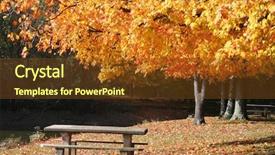  Presentation with fall - Presentation theme with picturesque fall scene in the park background and a tawny brown colored foreground