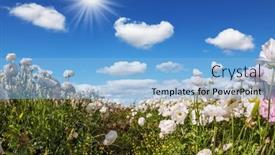  Presentation with botanical - PPT theme consisting of picturesque-field-of-blooming background and a light blue colored foreground