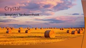  Presentation with hay field - Presentation design enhanced with picturesque-field-with-round-hay background and a coral colored foreground