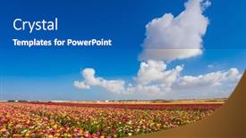  Presentation with botanical - Beautiful slides featuring picturesque-fields-of-buttercups backdrop and a ocean colored foreground