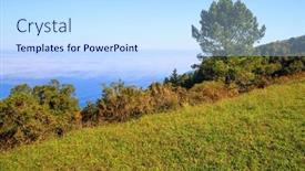  Presentation with green life - Slide deck featuring picturesque-green-grassy-glades-near background and a sky blue colored foreground